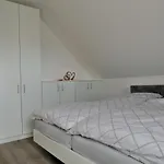 Schomaker Rieste