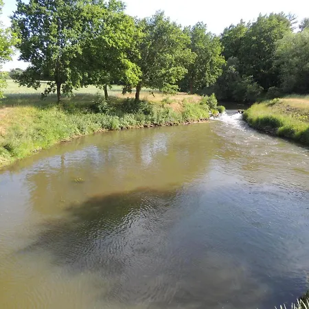 Schomaker Rieste