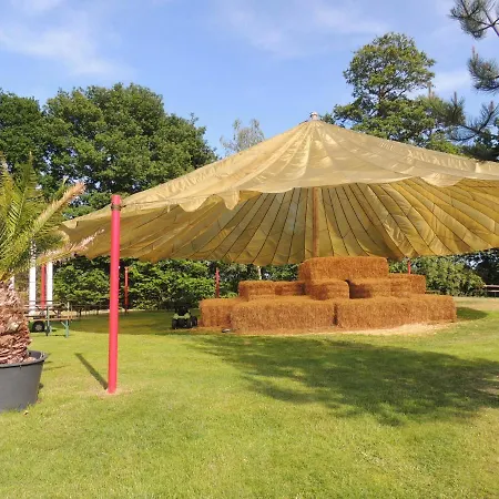 Schomaker 公寓 Rieste