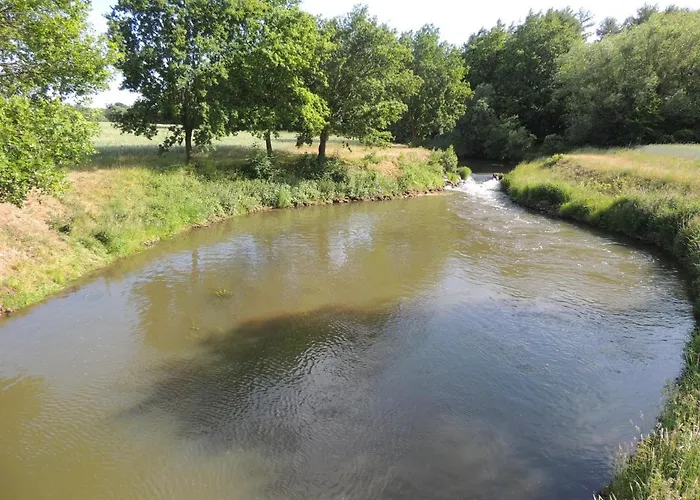 Schomaker Rieste